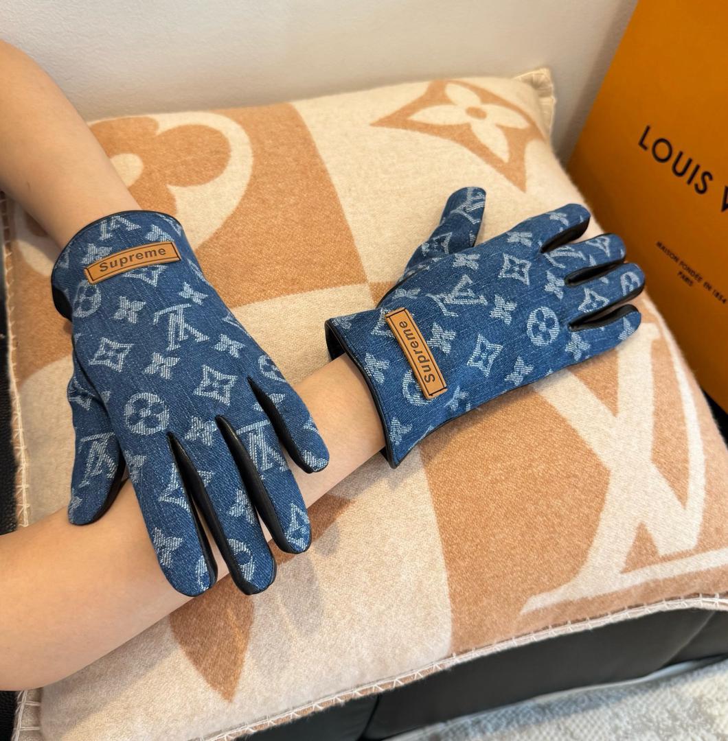 Premium Leather Gloves IV