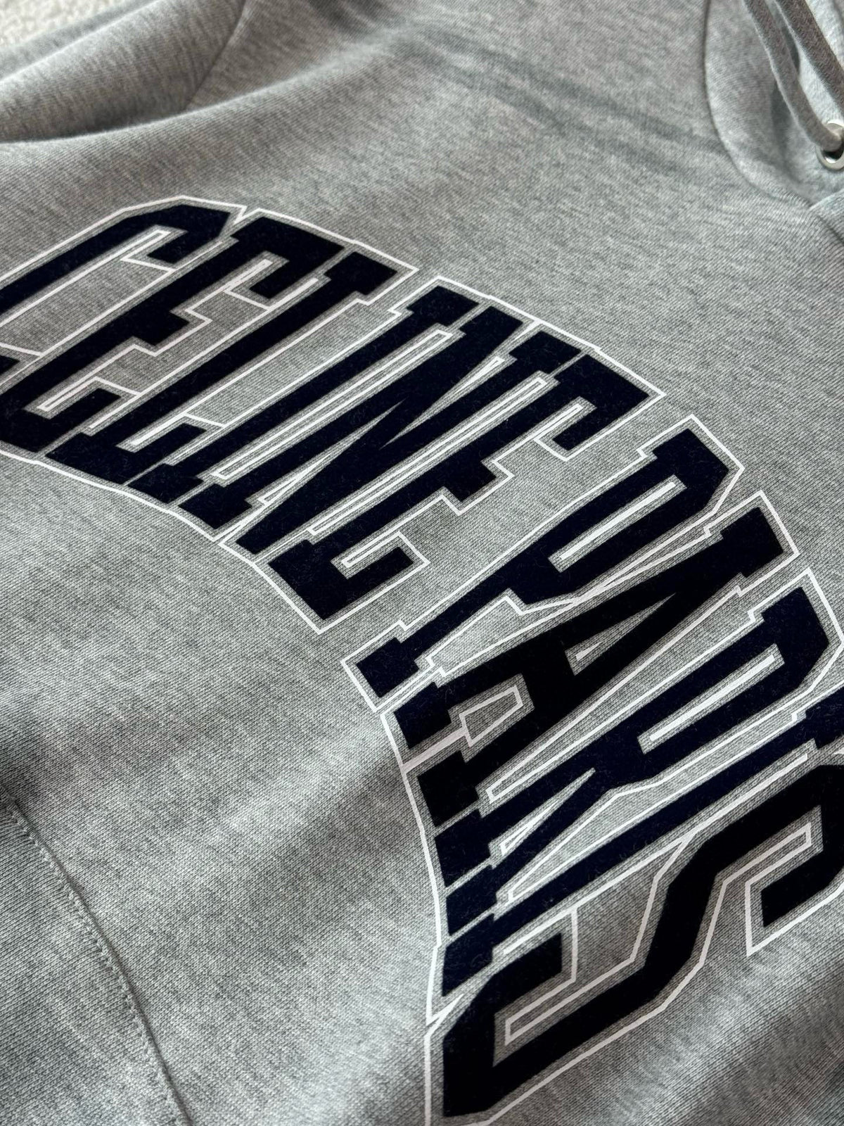 Gray Logo Hoodie