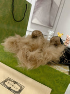 Women’s Toscana Shearling Slippers
