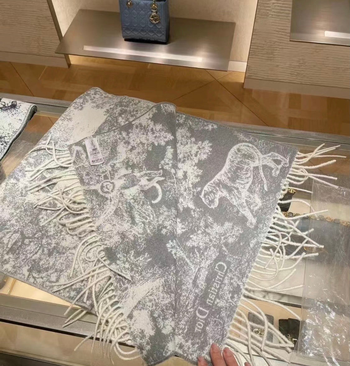 Sauvage Jouy Printed Scarf